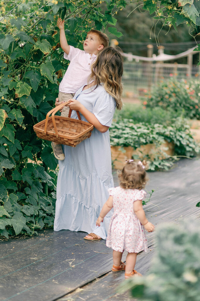 Mother picking vegetables in garden with her kids 